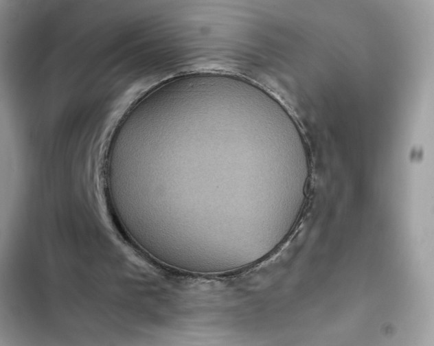 X0000102340193200808151736