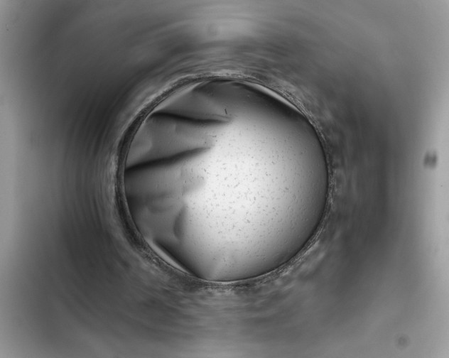 X0000102340194200808151736