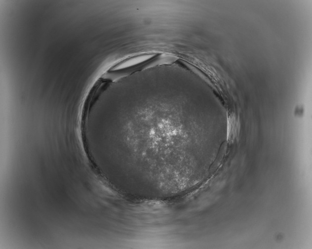 X0000102340195200808151736