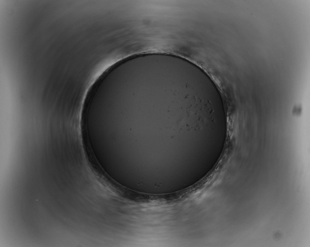 X0000102340196200808151736