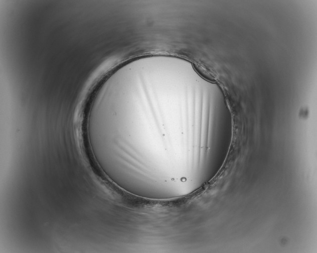 X0000102340197200808151736