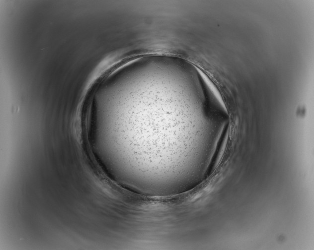 X0000102340198200808151736