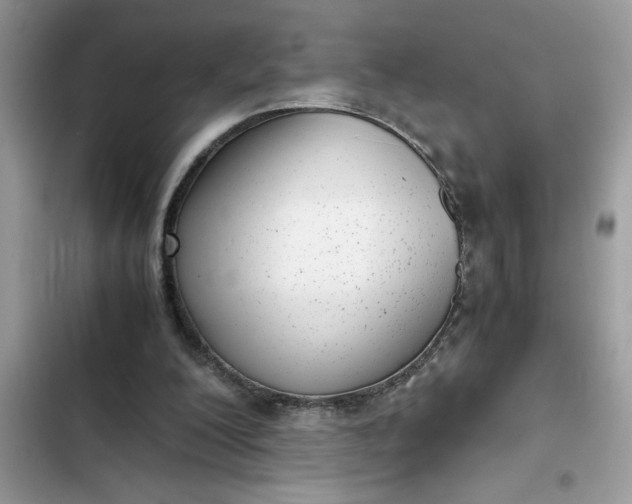 X0000102340200200808151736