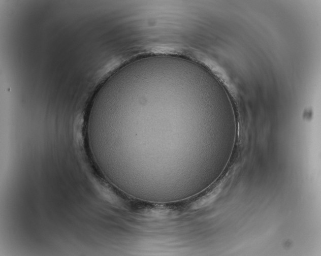 X0000102340201200808151736