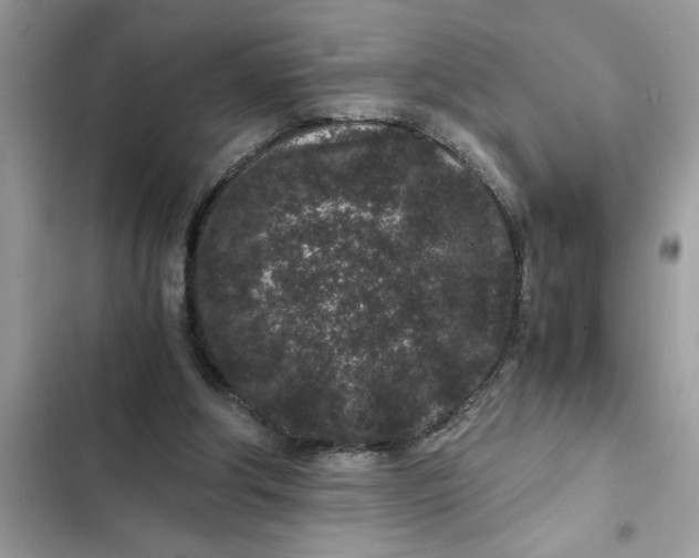 X0000102340202200808151736