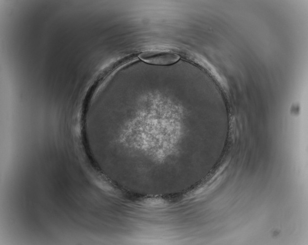 X0000102340203200808151736