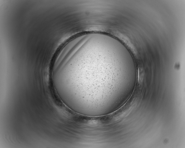 X0000102340204200808151736