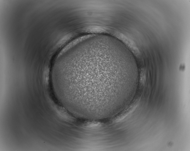 X0000102340206200808151735