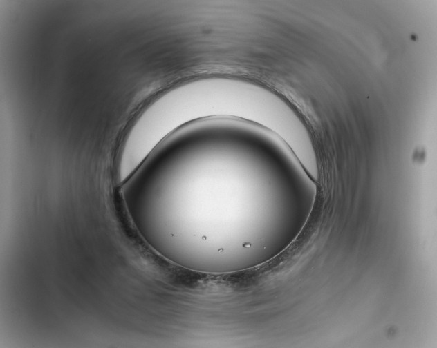 X0000102340207200808151735