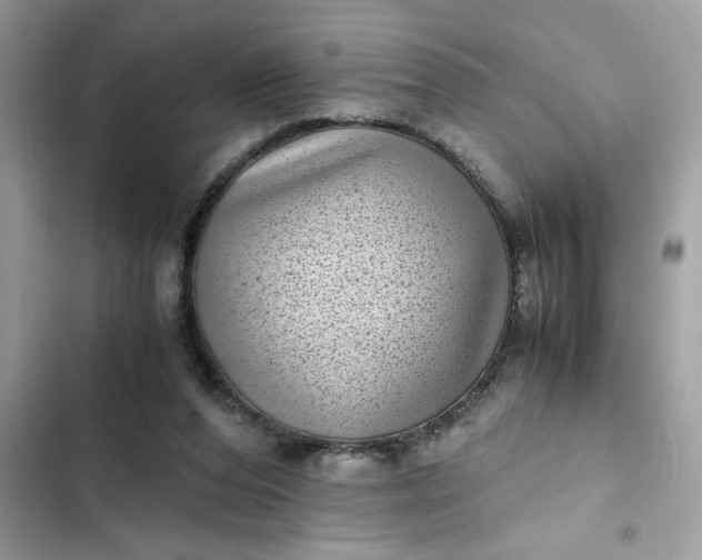 X0000102340208200808151735