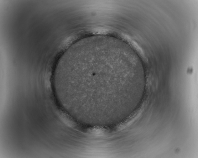 X0000102340209200808151735