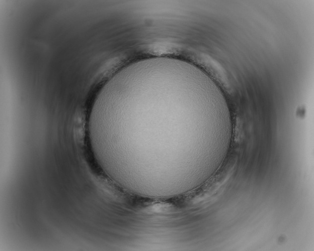 X0000102340210200808151735