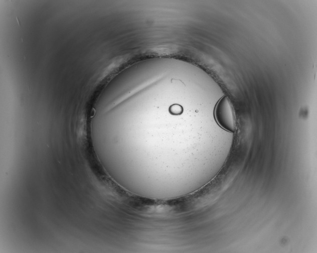 X0000102340212200808151735