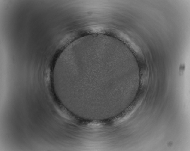 X0000102340213200808151735