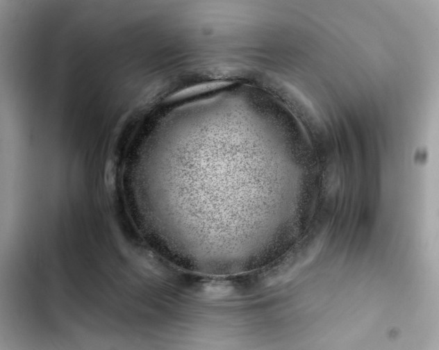 X0000102340214200808151735