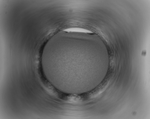 X0000102340215200808151735