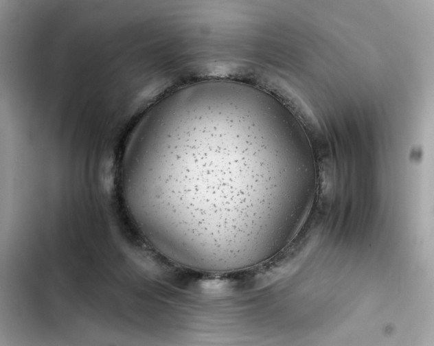 X0000102340216200808151735