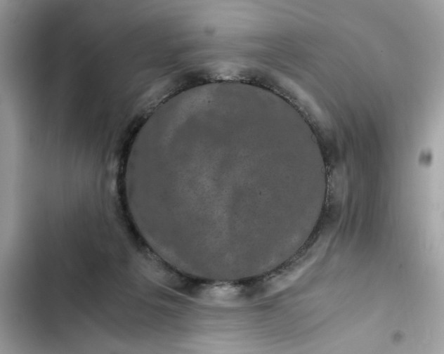 X0000102340217200808151735