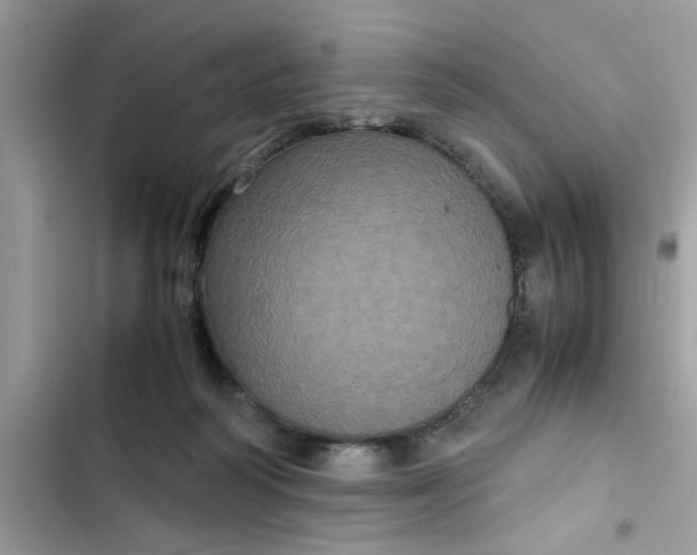 X0000102340218200808151735