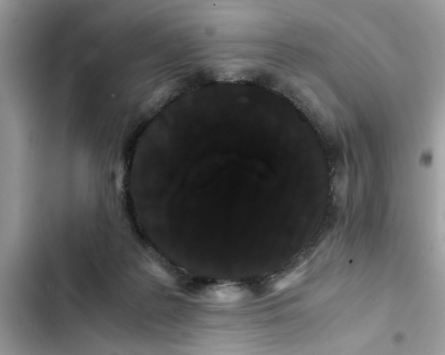 X0000102340219200808151735