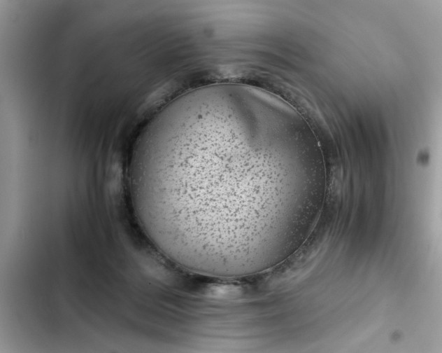 X0000102340220200808151735