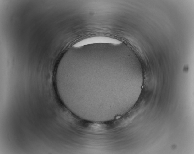 X0000102340221200808151735