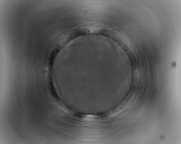 X0000102340222200808151735