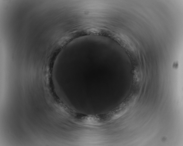 X0000102340223200808151735