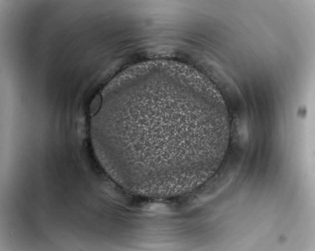 X0000102340224200808151735