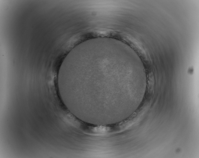 X0000102340225200808151735