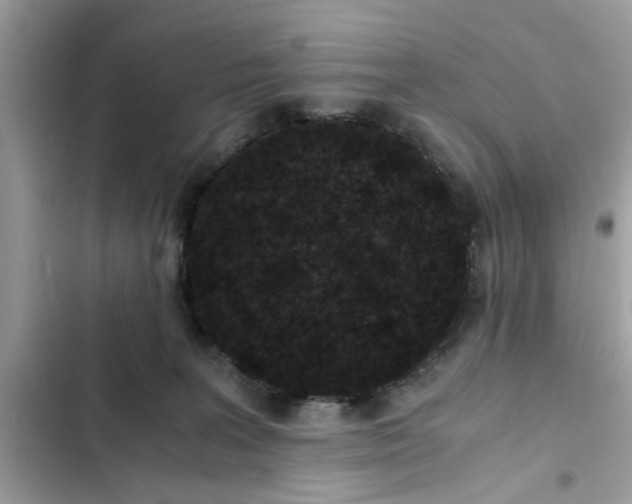 X0000102340227200808151735