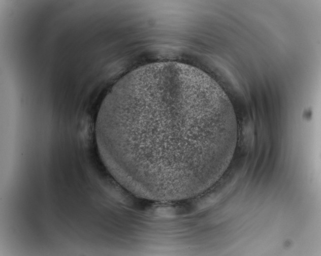 X0000102340228200808151735