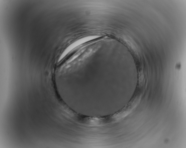 X0000102340229200808151735