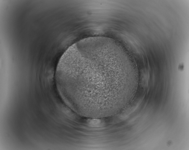 X0000102340230200808151735