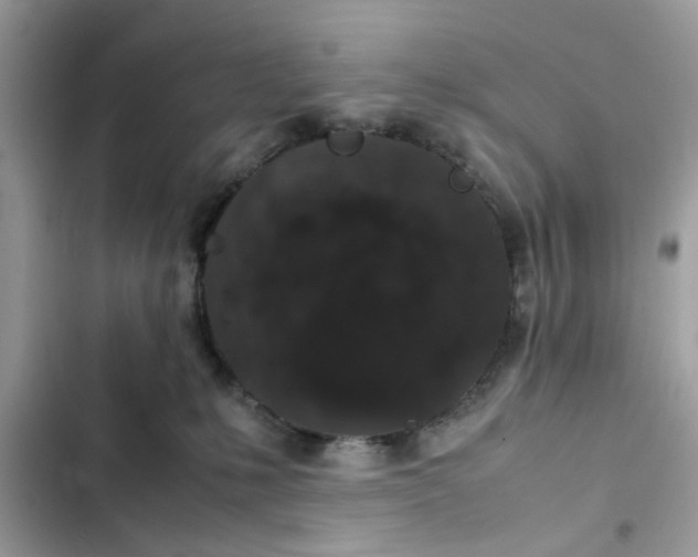 X0000102340231200808151735