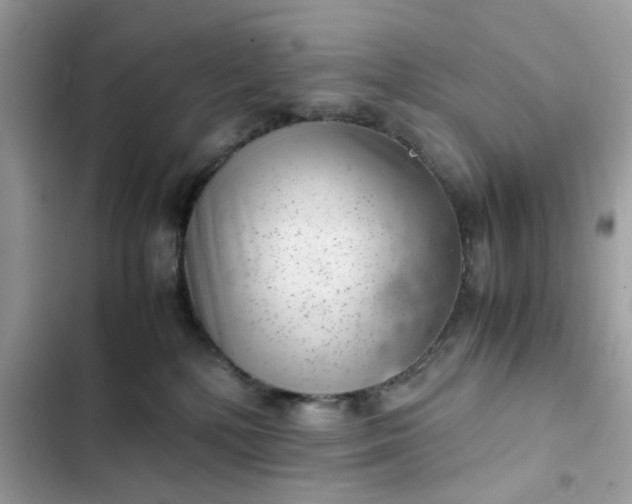 X0000102340232200808151735