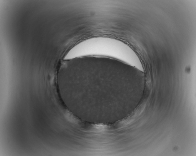 X0000102340233200808151735