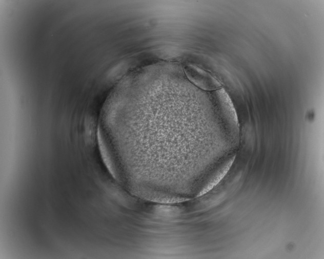 X0000102340234200808151735