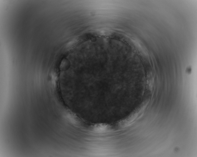 X0000102340235200808151735