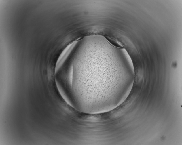 X0000102340236200808151735