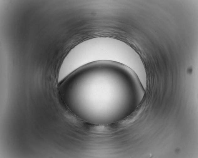 X0000102340237200808151735