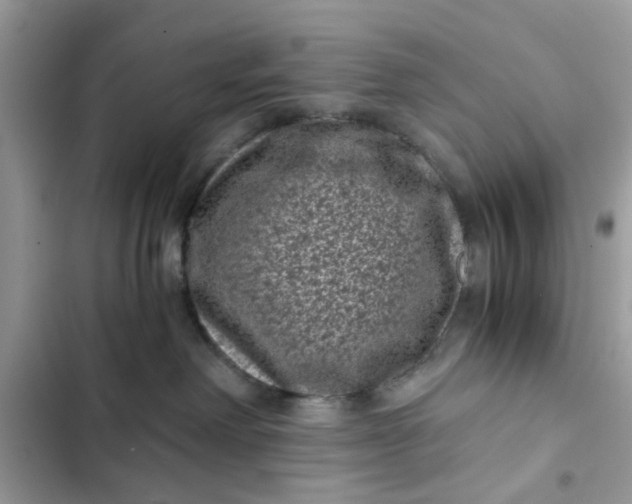 X0000102340238200808151735