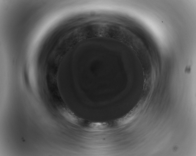 X0000102340239200808151735