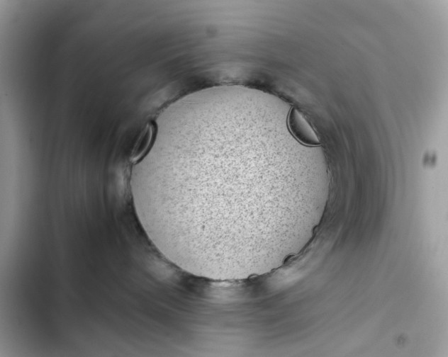 X0000102340240200808151735