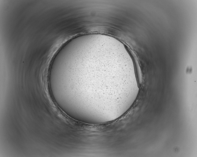 X0000102340241200808151734