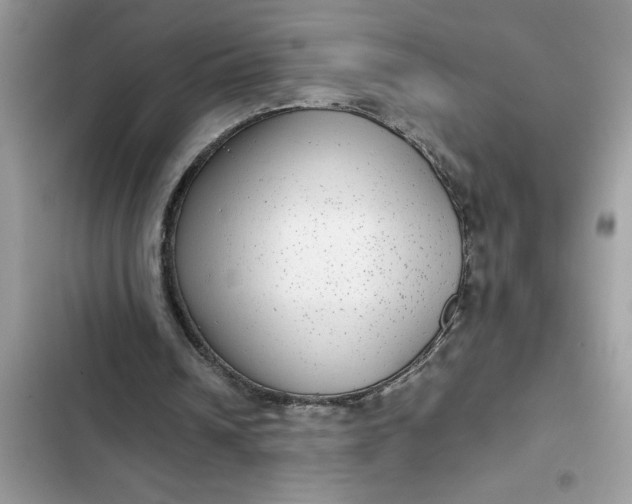 X0000102340242200808151734