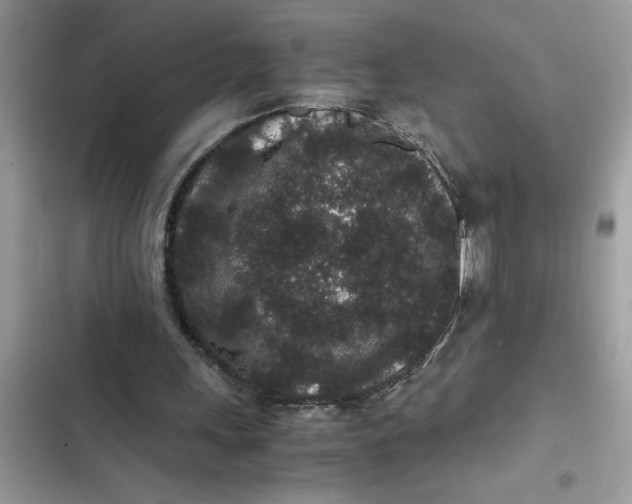 X0000102340243200808151734