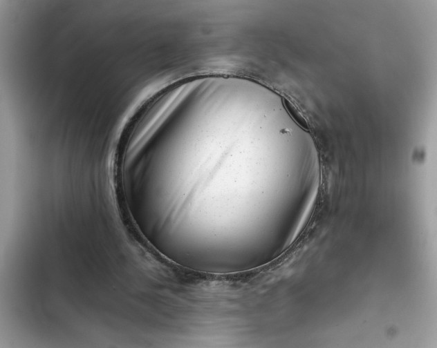 X0000102340244200808151734