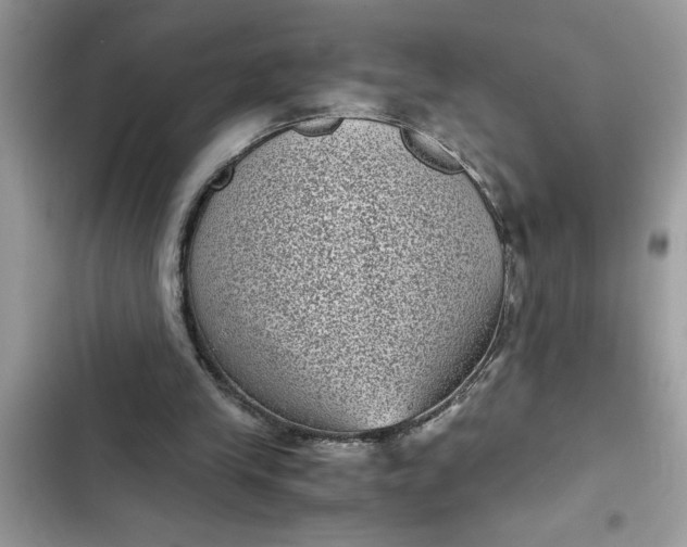 X0000102340245200808151734