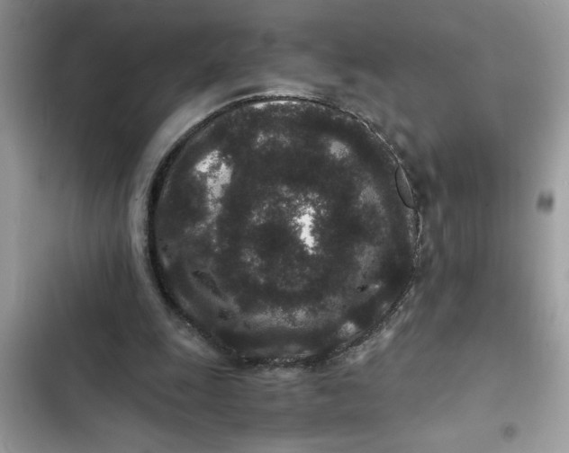 X0000102340247200808151734